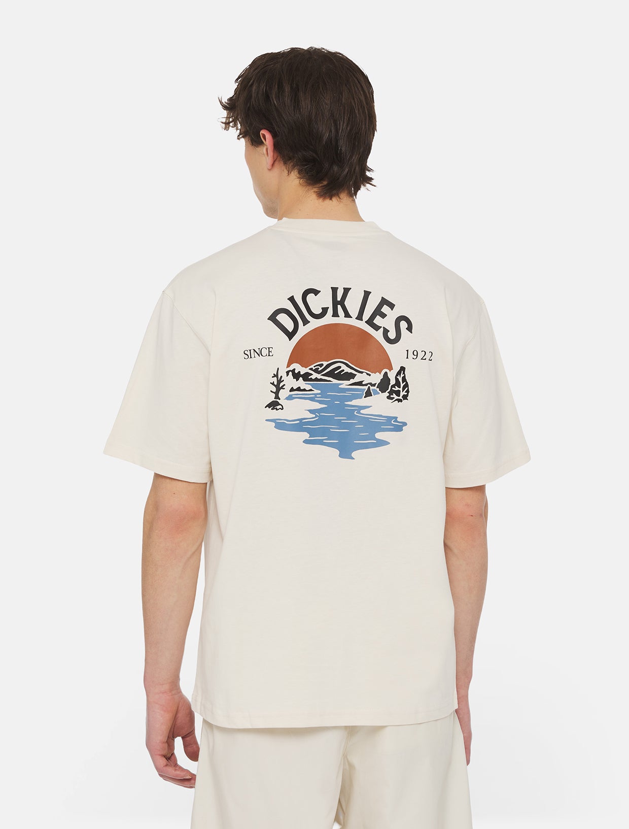 Dickies Beach Tee Beige T-Shirt