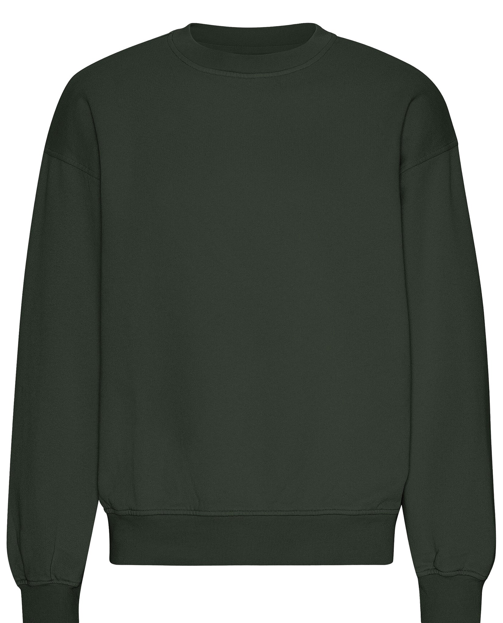 Oversized Crewneck Sweatshirt Verdone