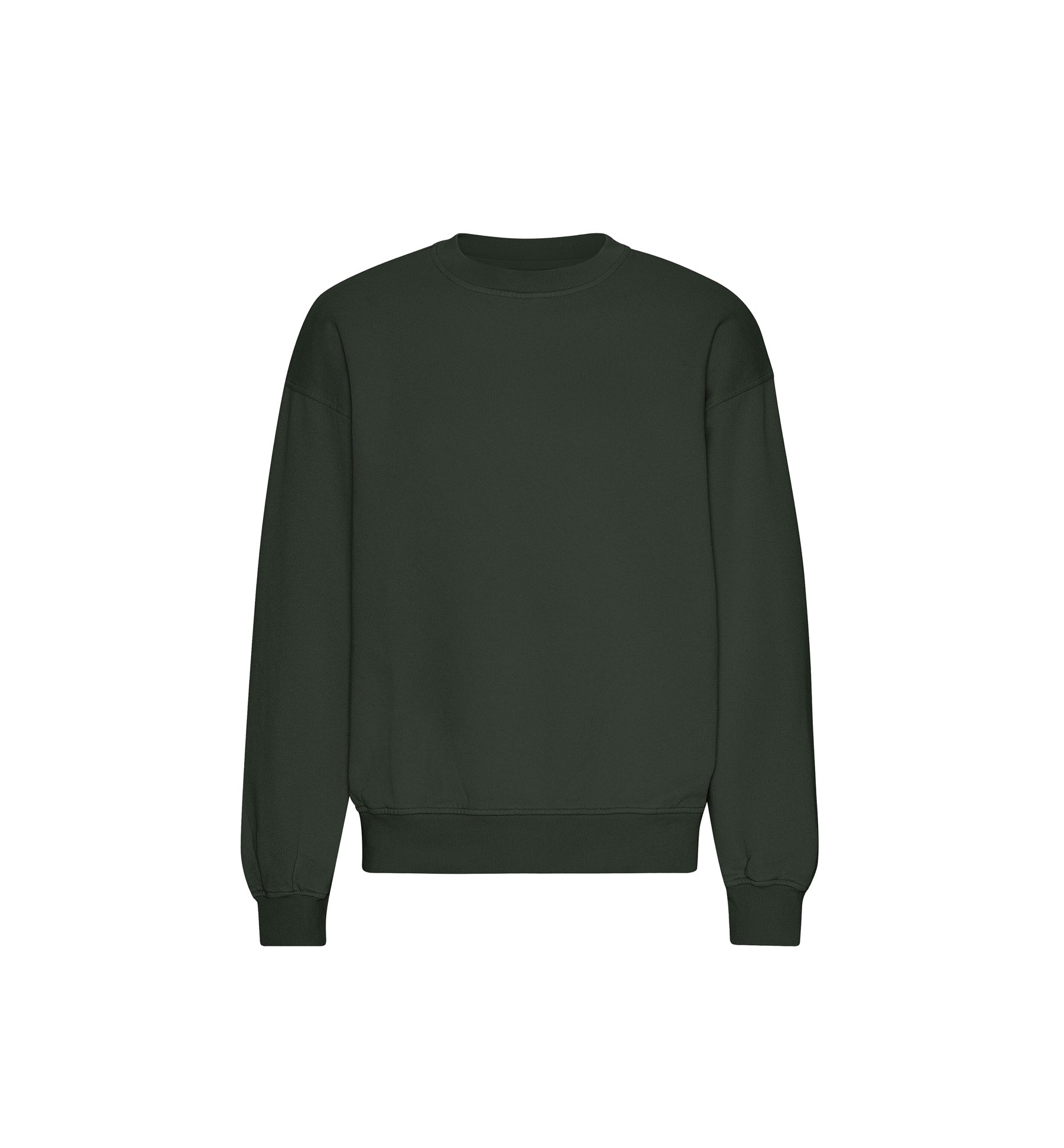 Oversized Crewneck Sweatshirt Verdone