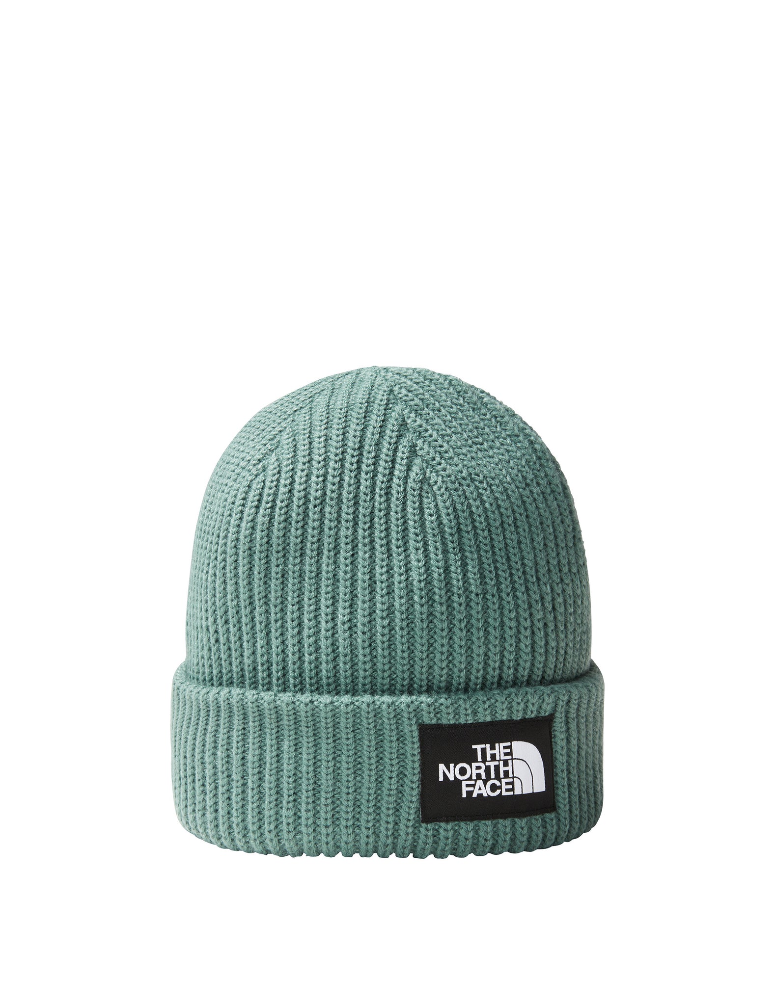 The North Face Salty Lined Beanie Aqua Green