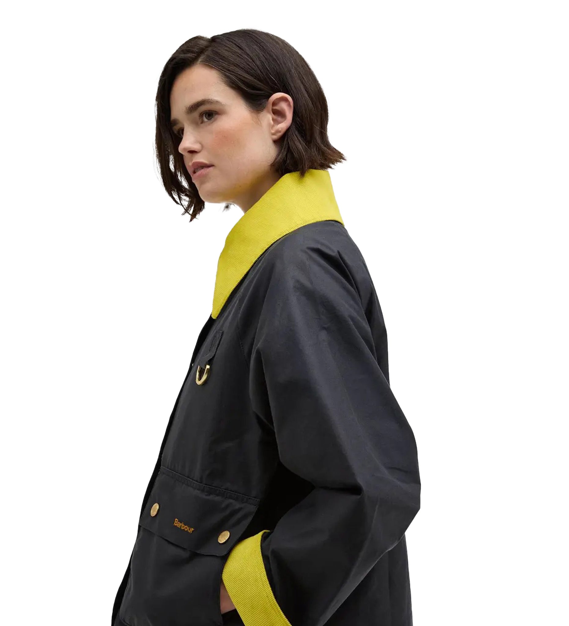 Giacca Babrbour Icons Spey Wax Jacket Bicolor Limited