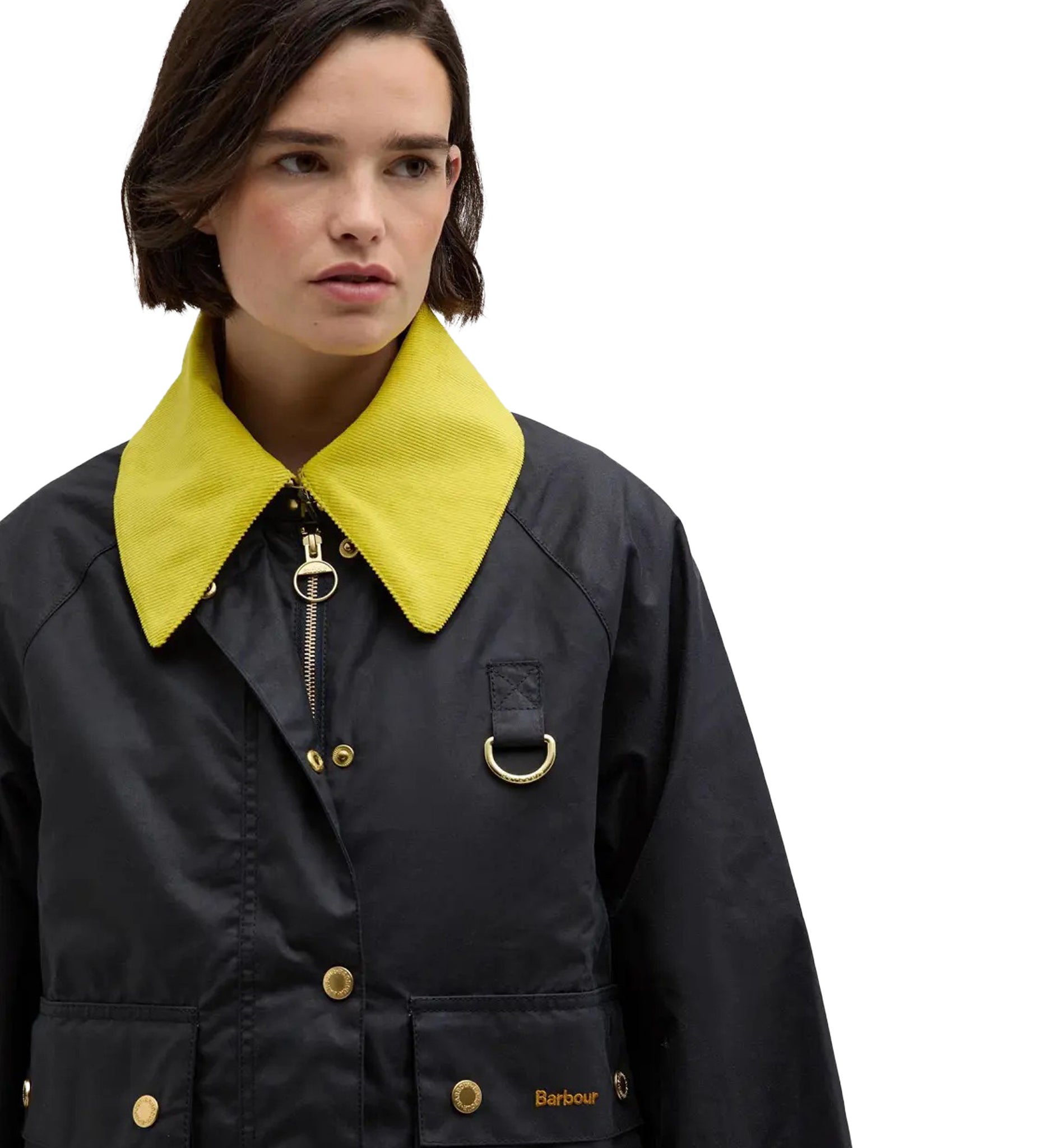 Giacca Babrbour Icons Spey Wax Jacket Bicolor Limited