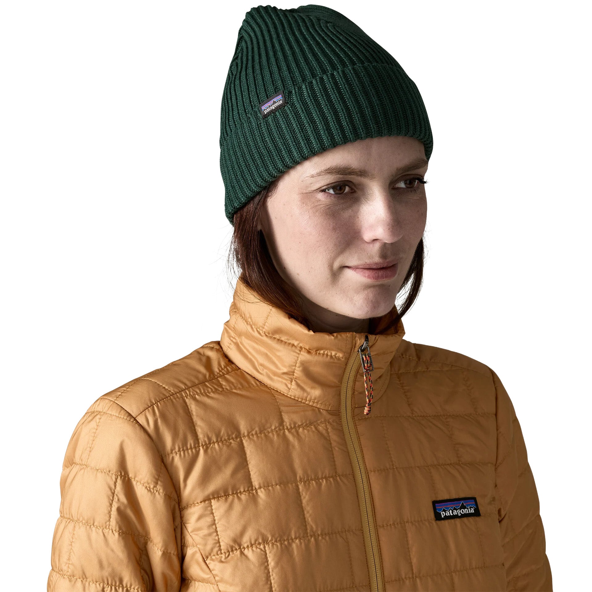 Patagonia Fishermans Rolled Beanie Verde