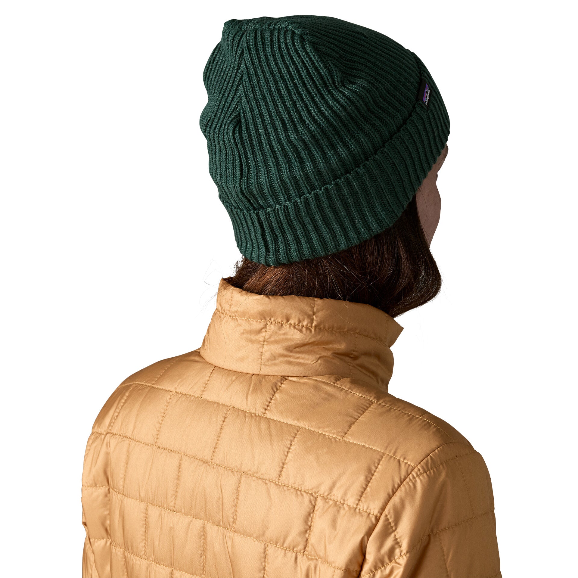 Patagonia Fishermans Rolled Beanie Verde