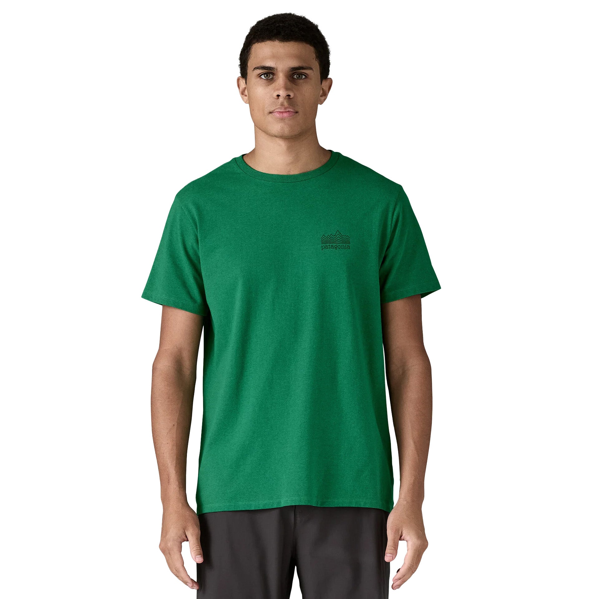 Patagonia Strataspire Responsibili-Tee