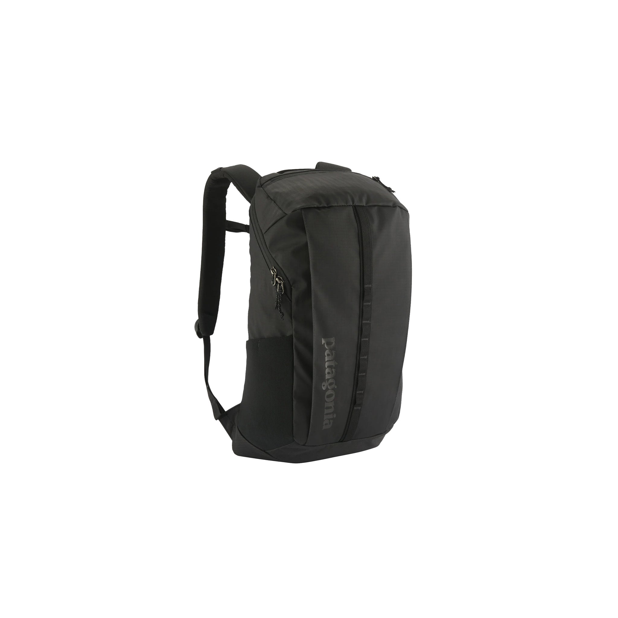 Patagonia Black Hole Pack 25l Black
