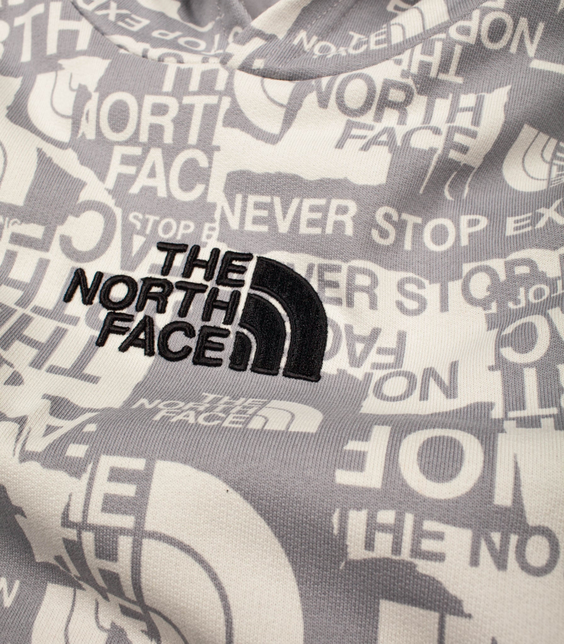 The North Face Boy'S Drew Peal Light Hoodie