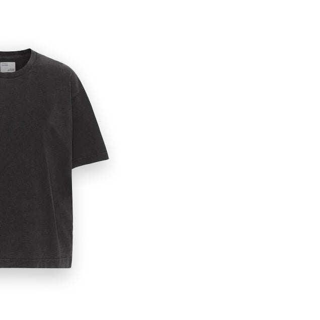 Oversized Colorful Standard T-Shirt Organic Cotton Black Unisex