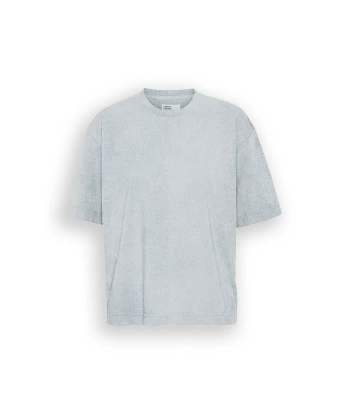 T-Shirt Oversized Colorful Standard Cotone Organico Grigio Unisex