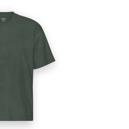 Oversized Colorful Standard T-Shirt Organic Cotton Green Unisex